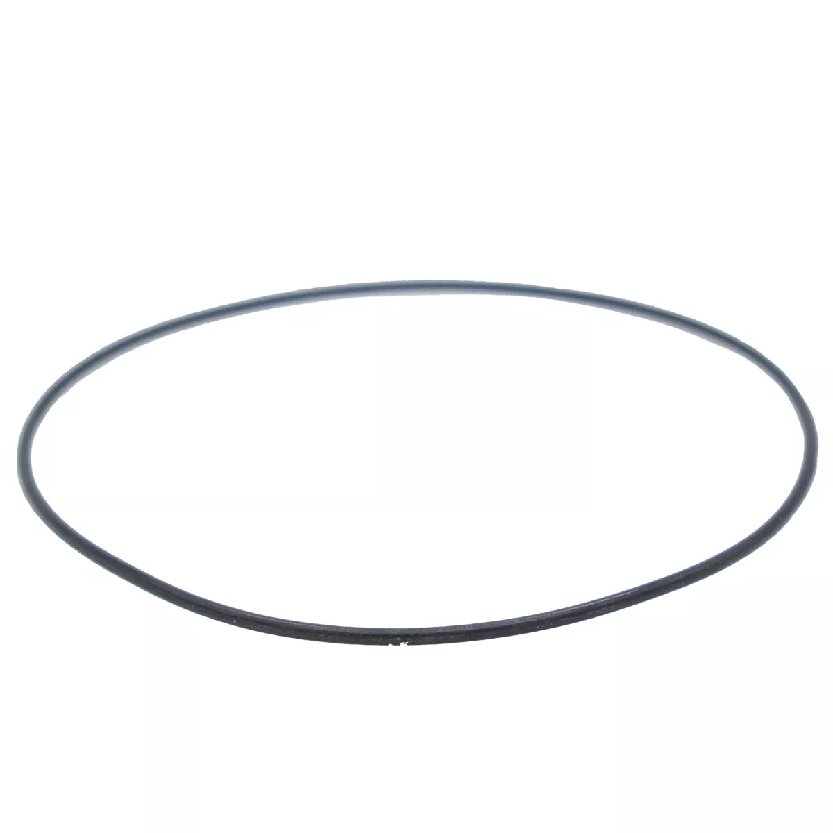 O-Ring S300 - Rex-Royal