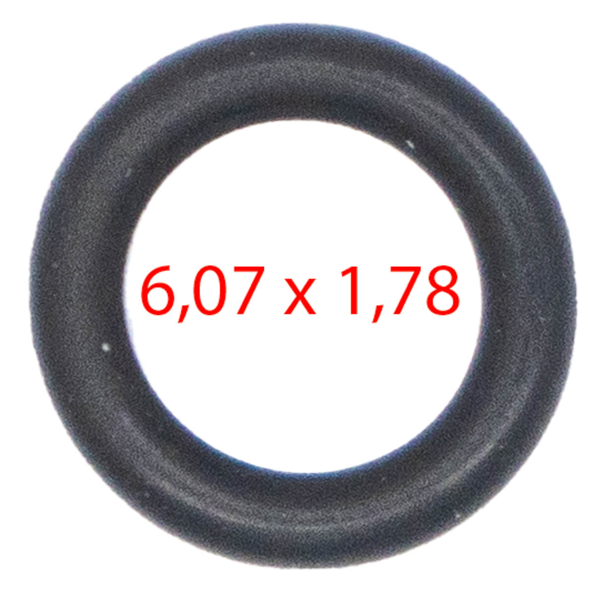O-Ring Instantmodul S1 / S2 / S200 / S500 - Rex-Royal