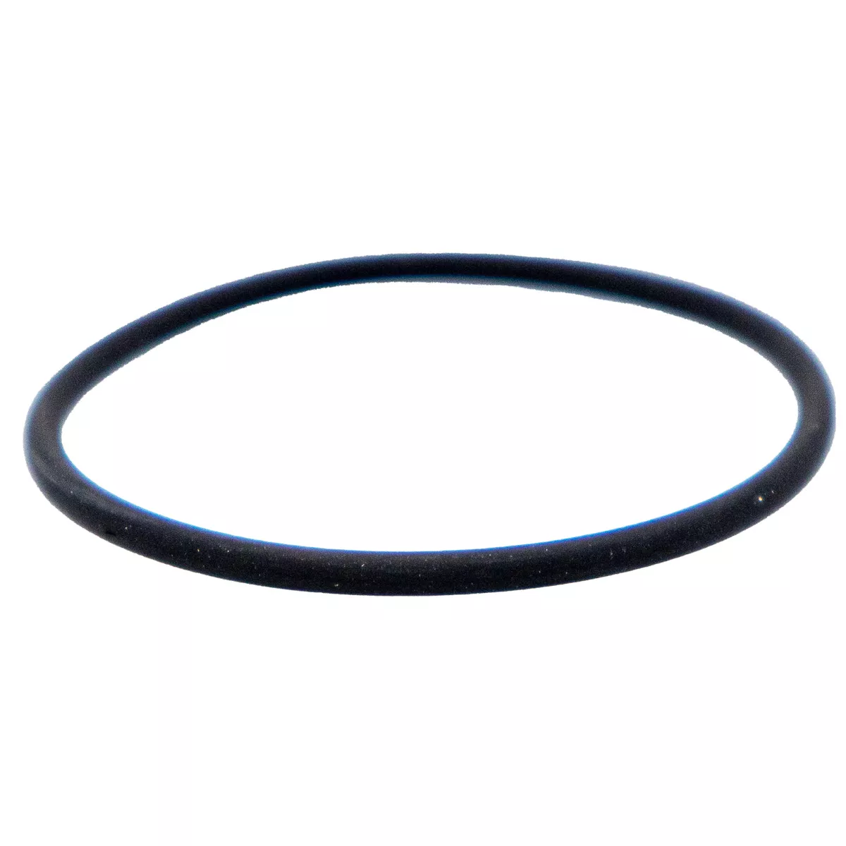 O-Ring Pumpe S2, S300, S500 - Rex-Royal