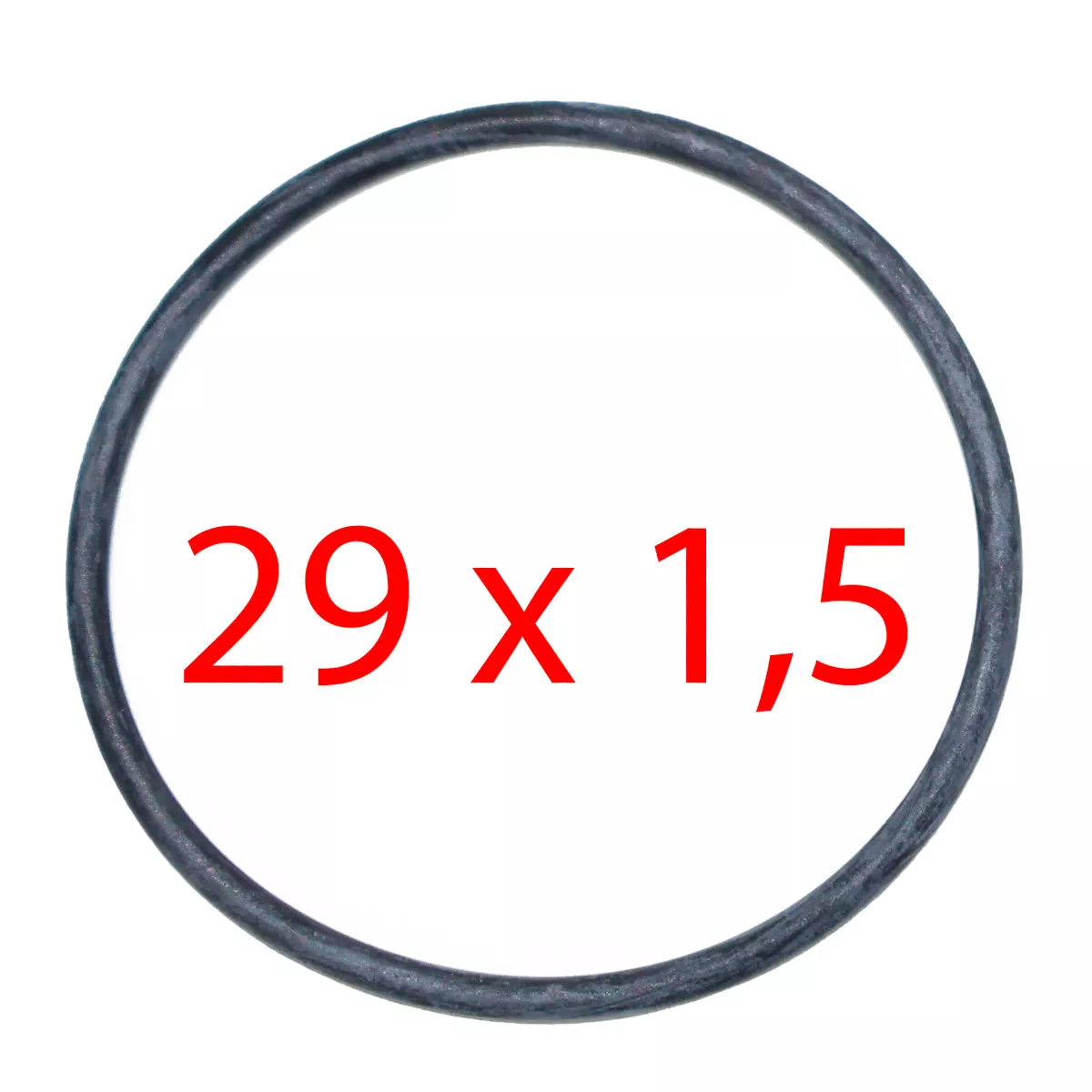 O-Ring Brühgruppe S1 / S2 / S200 - Rex-Royal