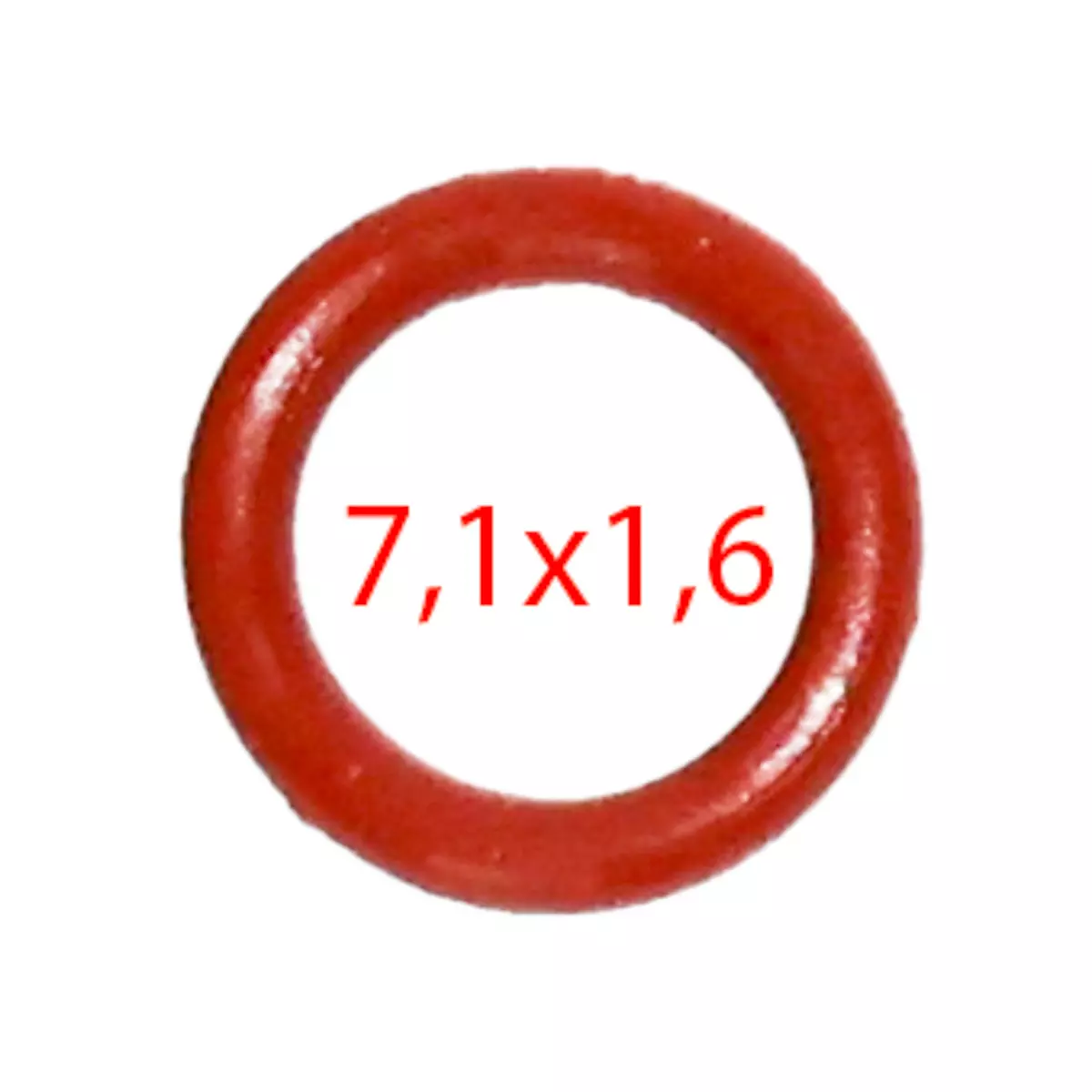O-Ring Armaturen S300 - Rex-Royal