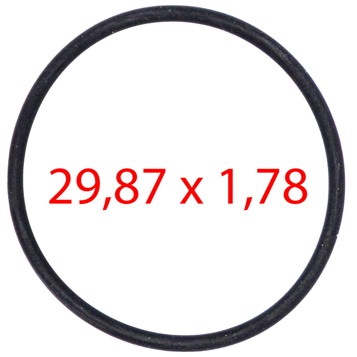 O-Ring für Pumpen S2, S300, S500- Rex-Royal