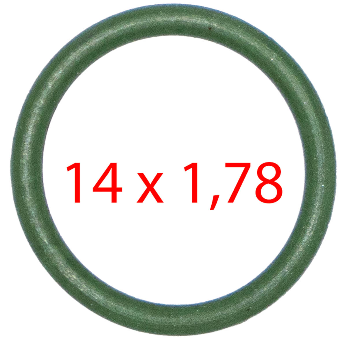 O-Ring Milchpumpe S2, S200, S300 - Rex-Royal