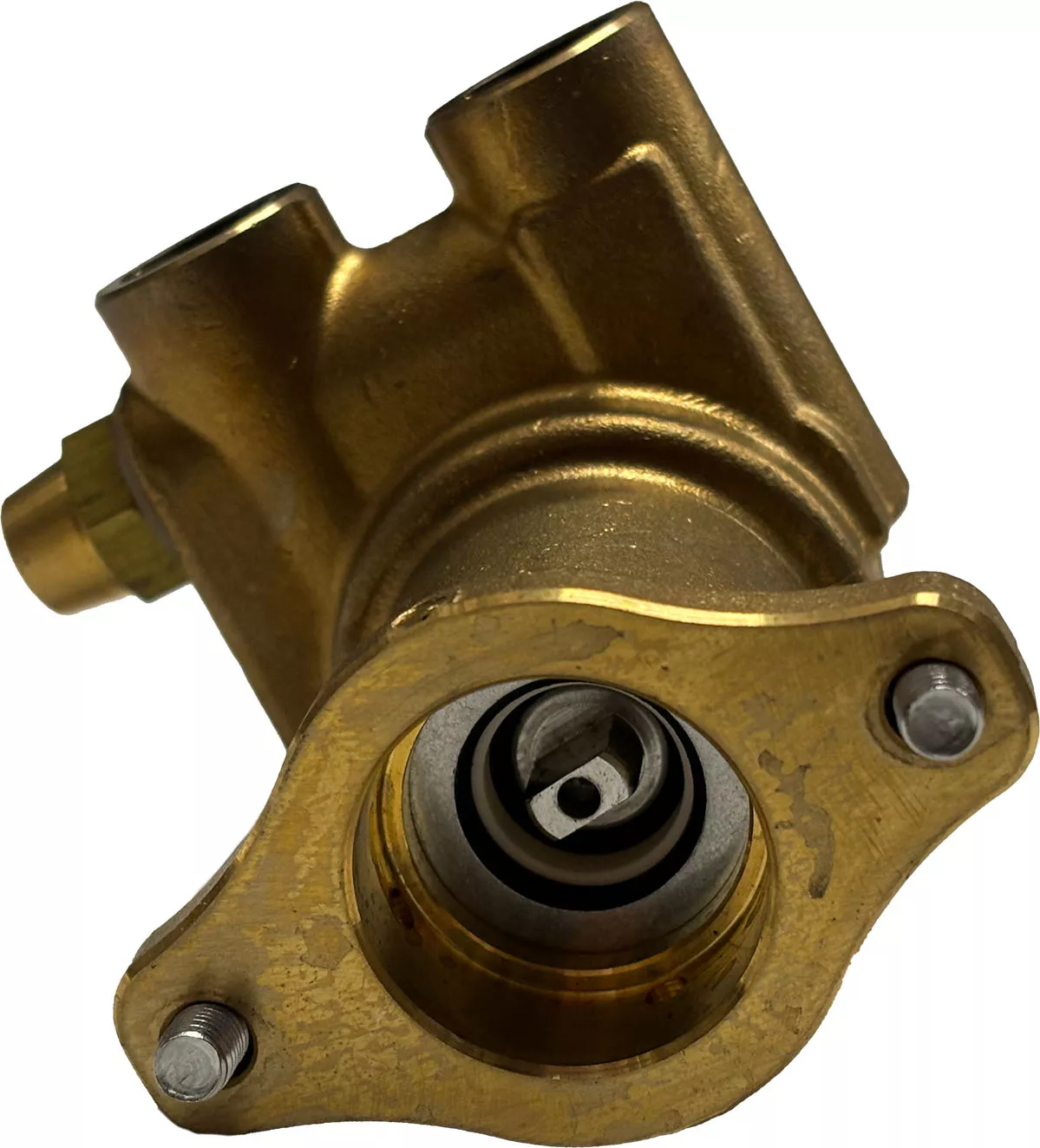 Pumpenkopf 50l/h - ECM Mechanika Max