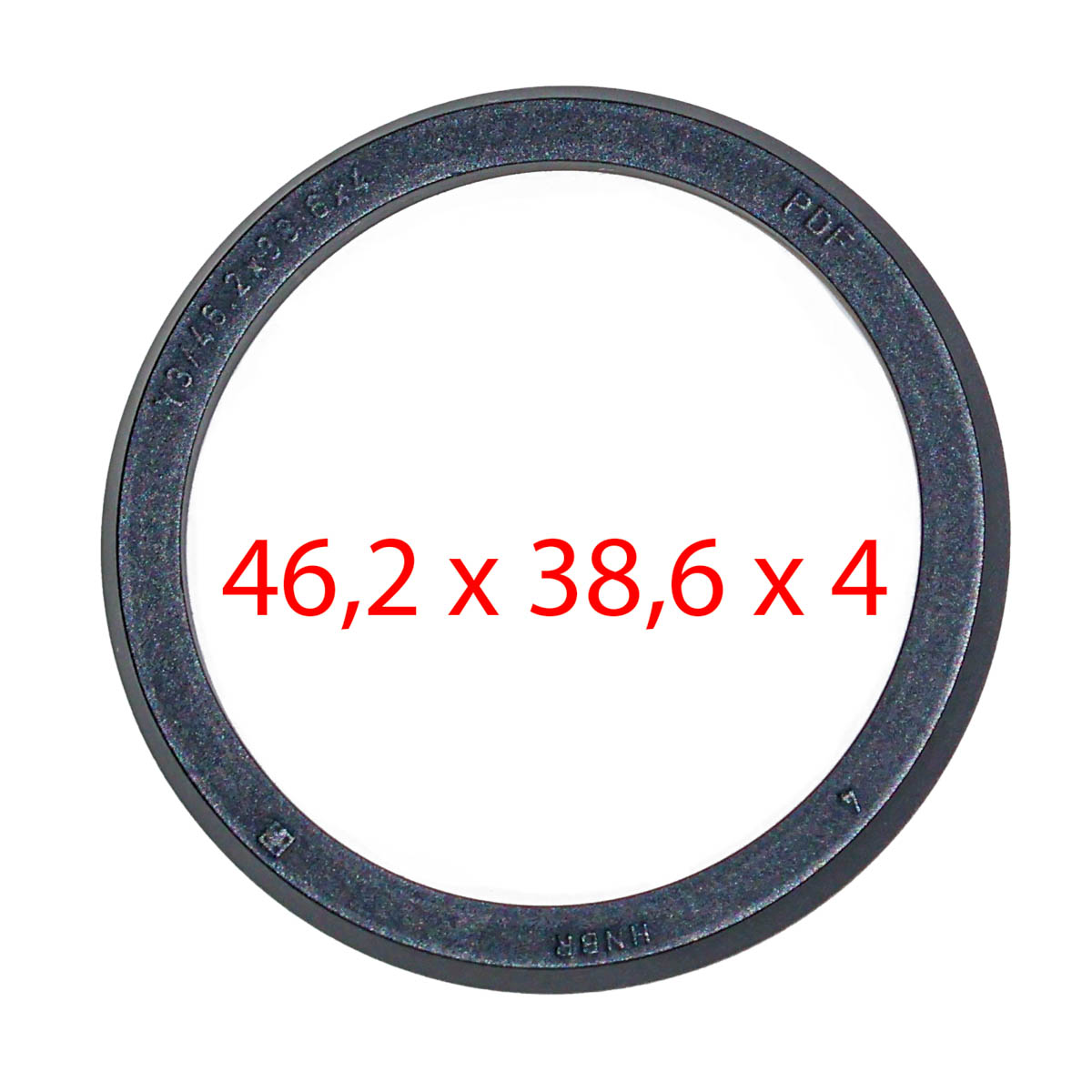 Dichtung Brühgruppe S300 - Rex-Royal Dichtung Brühgruppe S300 - Rex-Royal