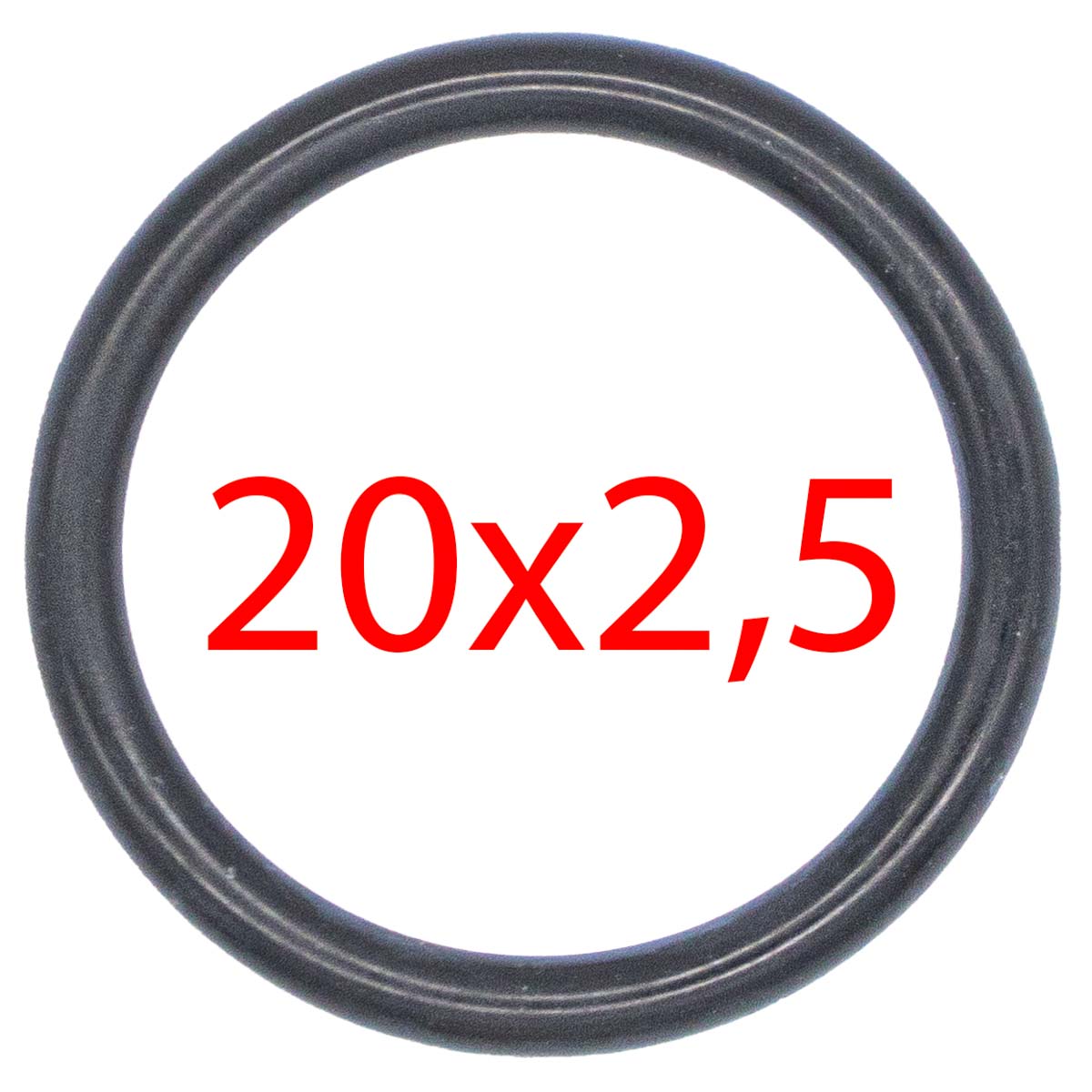 O-Ring für Verschalung S2, S200, S300 - Rex-Royal
