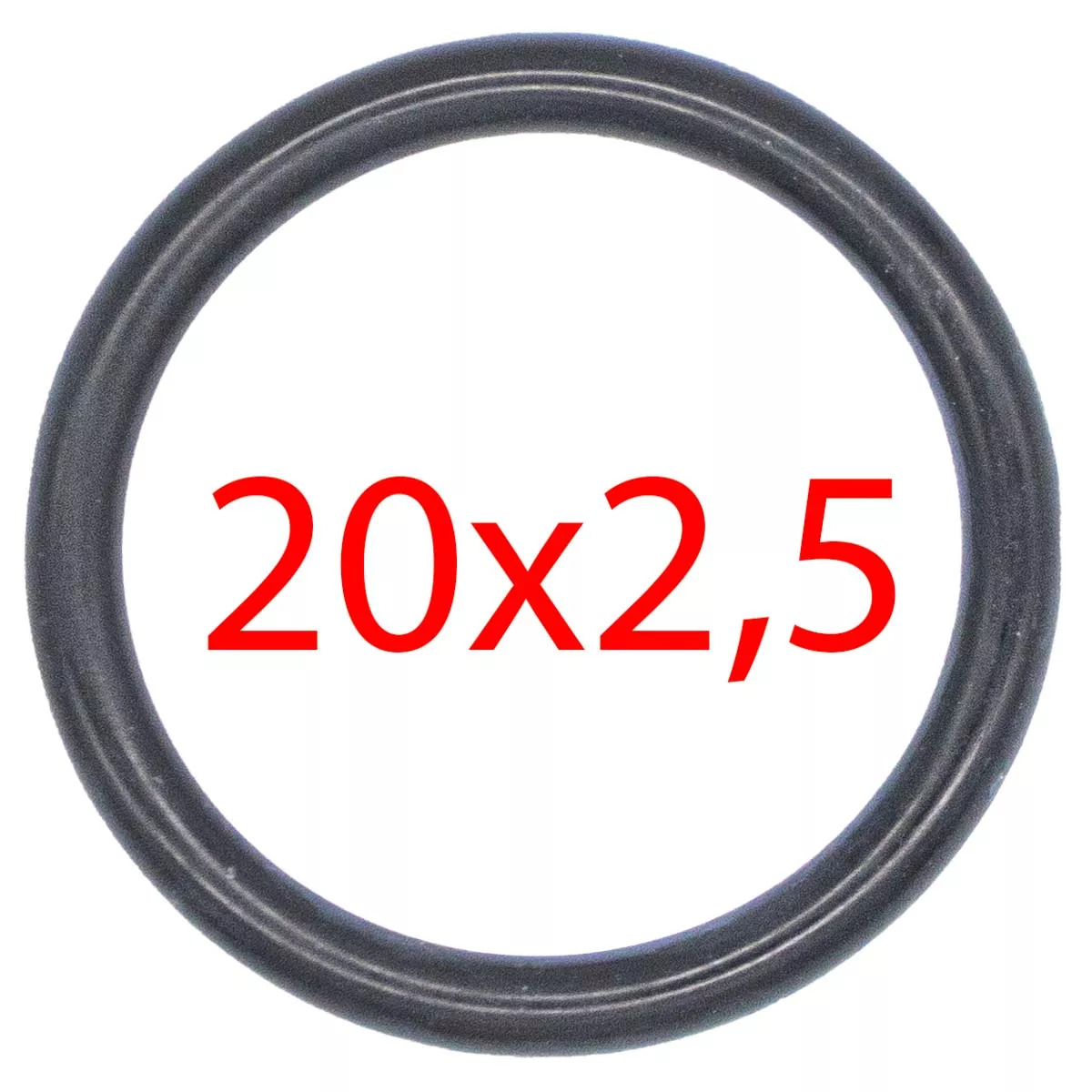 O-Ring für Verschalung S2, S200, S300 - Rex-Royal
